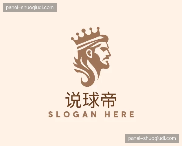 解读说球帝机构